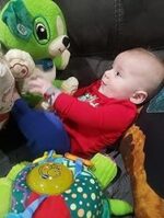 Baby Bear Song Learner - Image 7