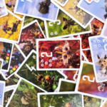 Pixies – Big Magic in Tiny Hands - Image 2